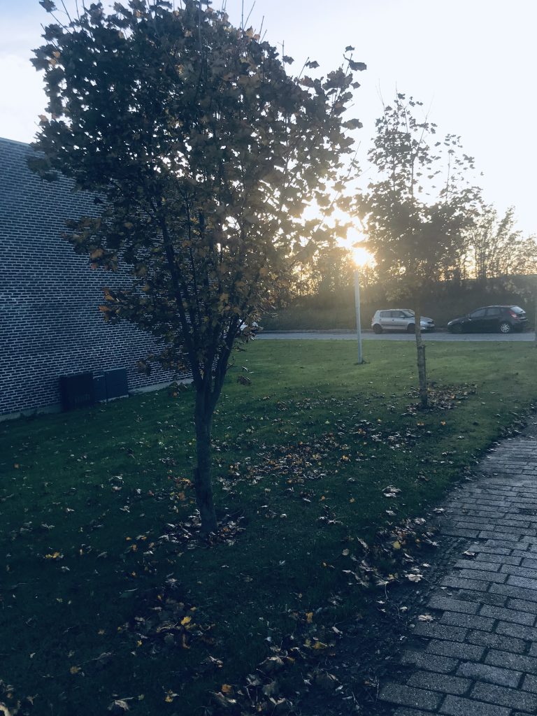 Kollegiet Kuskevej Samala, Kuskevej Vordingborg
