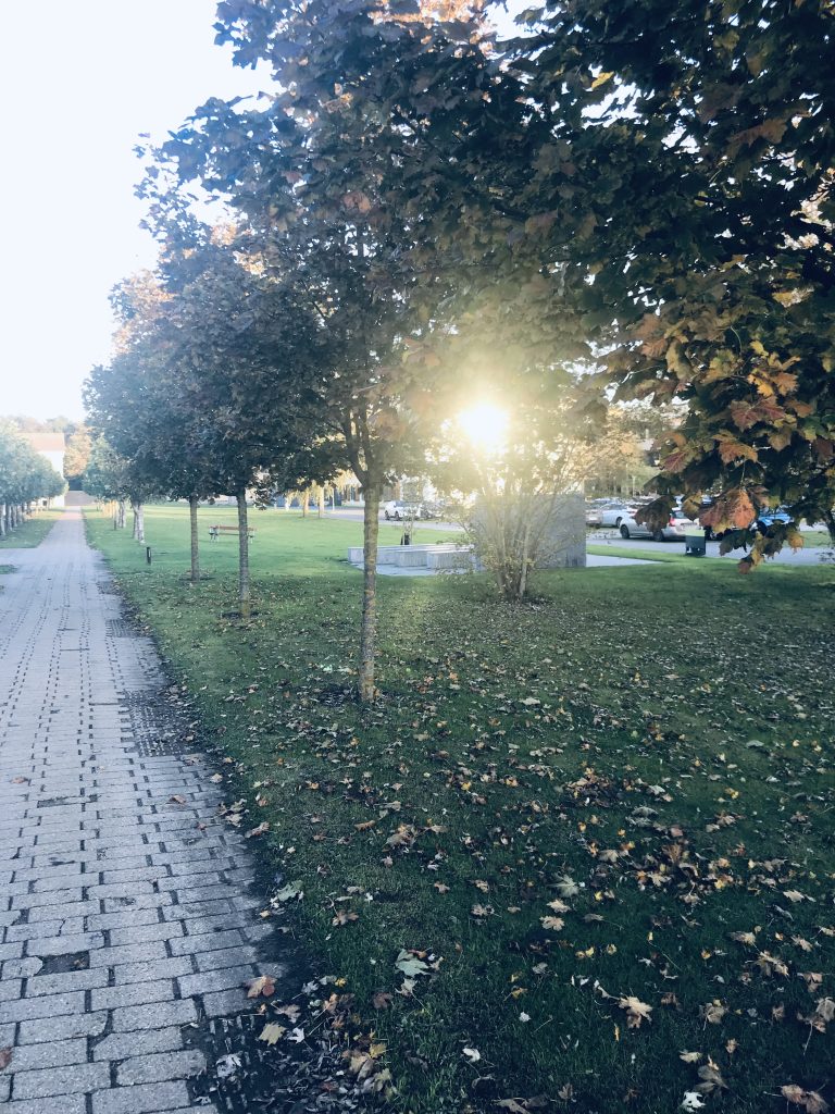 Kollegiet Kuskevej Samala, Kuskevej Vordingborg