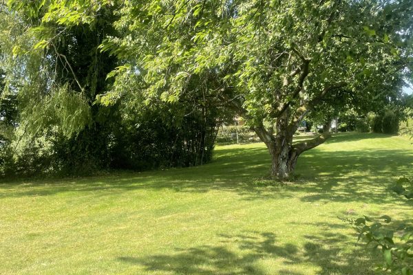 Haven hos Familiestedet Samala