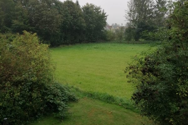 have, Samala botilbud, Jordemodervej